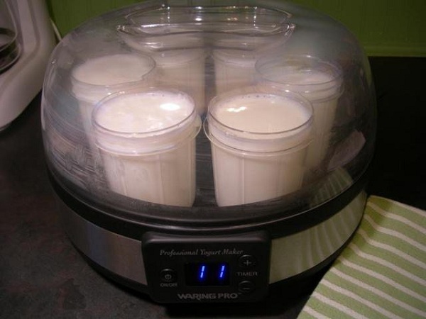  Fabricante de yogur durante el trabajo.