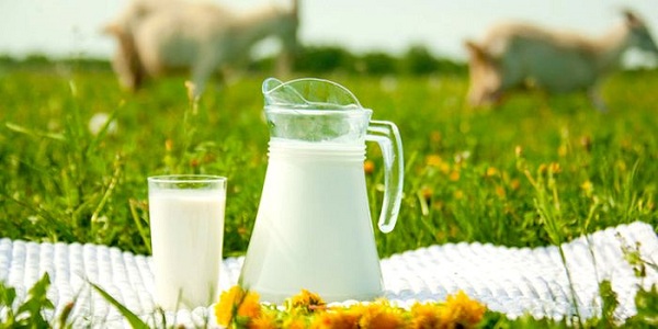  Leche casera