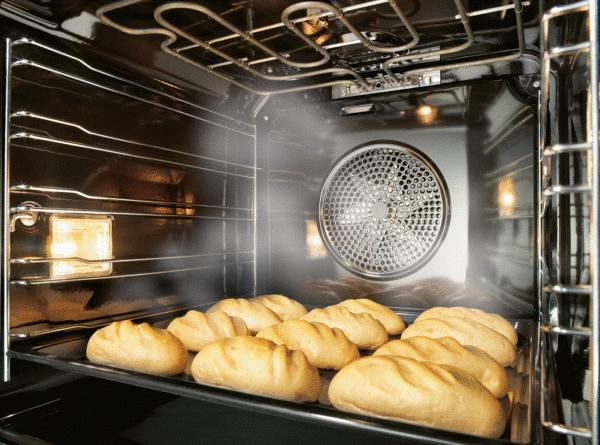 Convección húmeda en horno.