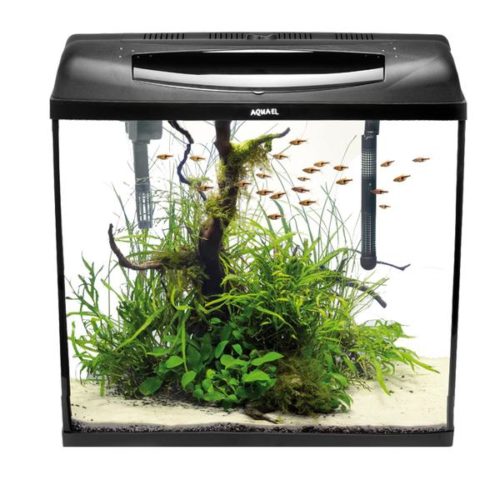  Instalación del calentador en el acuario.