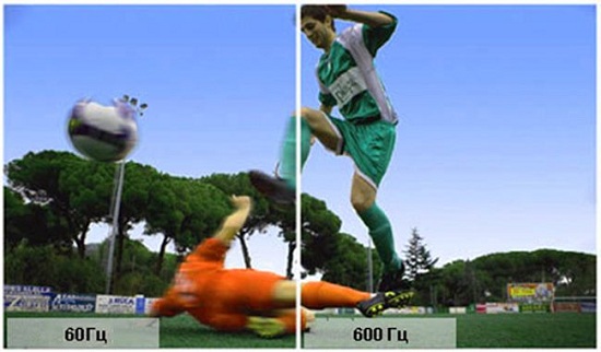  Velocidad de fotogramas