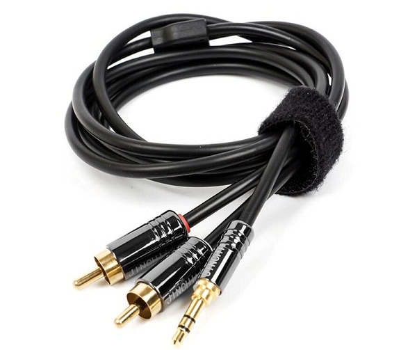  2 audio RCA