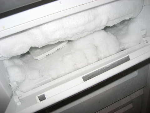 Abrigo de nieve en el congelador