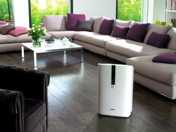  Humidificador y purificador de aire en la casa.