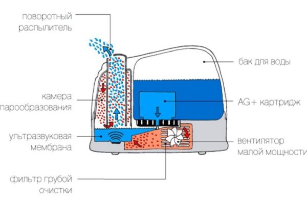 Dispositivo humidificador