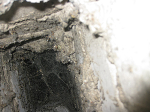 Chimenea contaminada
