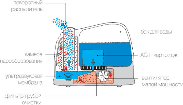 El principio de funcionamiento del humidificador ultrasónico.