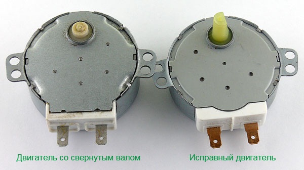  Motor