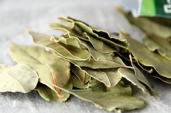  Hoja de laurel