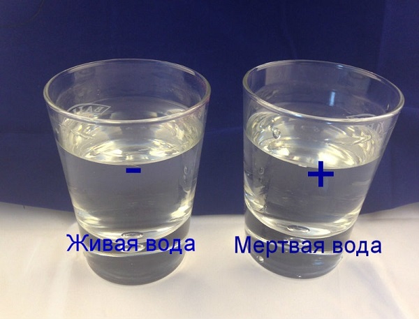  Agua viva y muerta.