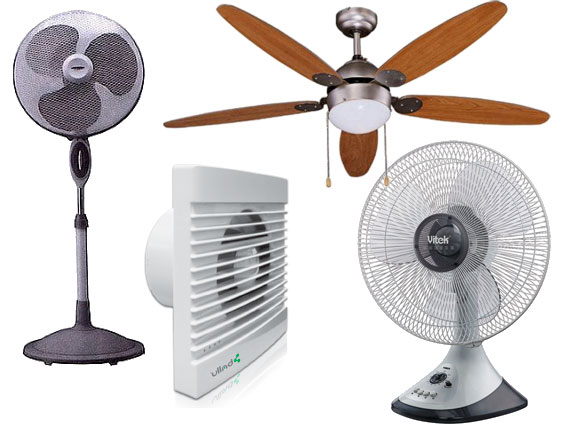  Tipos de fans
