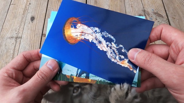  Papel fotográfico para inyección de tinta