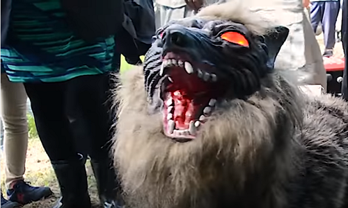  Lobo robot