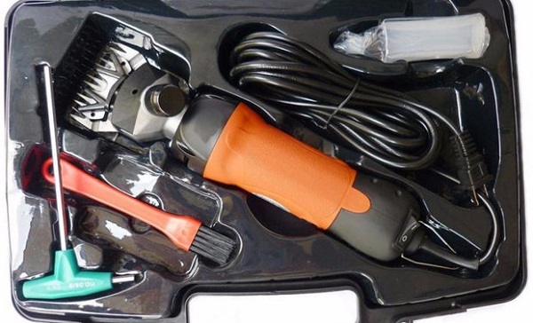 Conjunto completo de coches