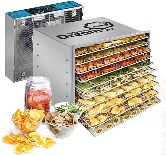Dream PRO DDP-10