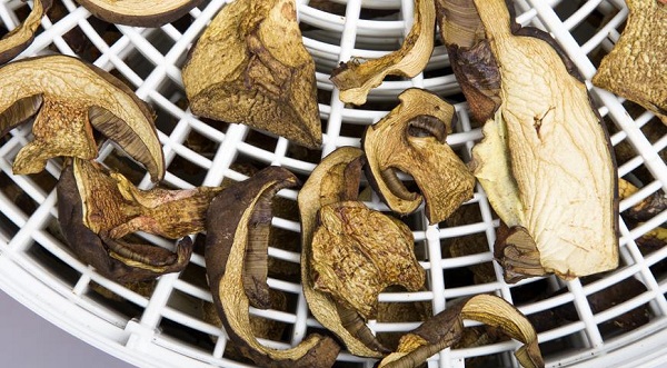  Champiñones en deshidratador