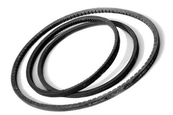 El cinturon