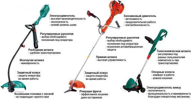  Variedades de cortacésped
