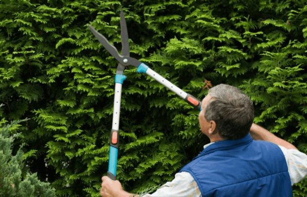  Tijeras de jardin