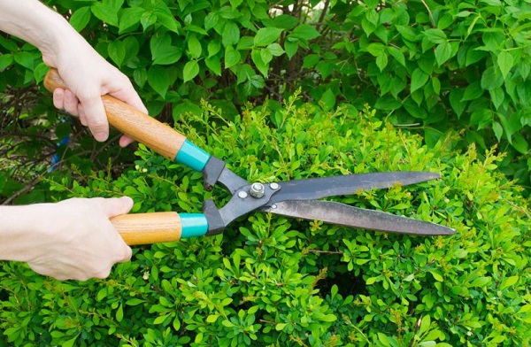  Tijeras de jardin