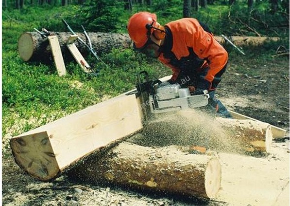  Cortar troncos en tablas