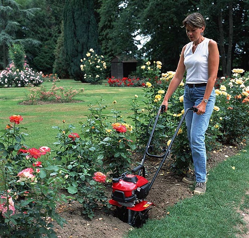  Motor-cultivador para una cama.