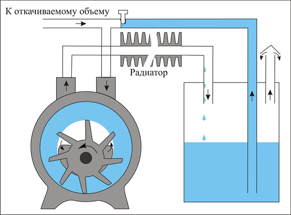  Principio de funcionamiento de la bomba de anillo de agua.