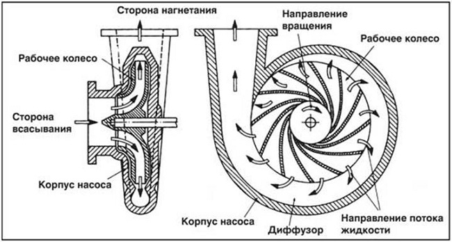  Bomba centrifuga