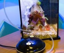  Compresor de acuario