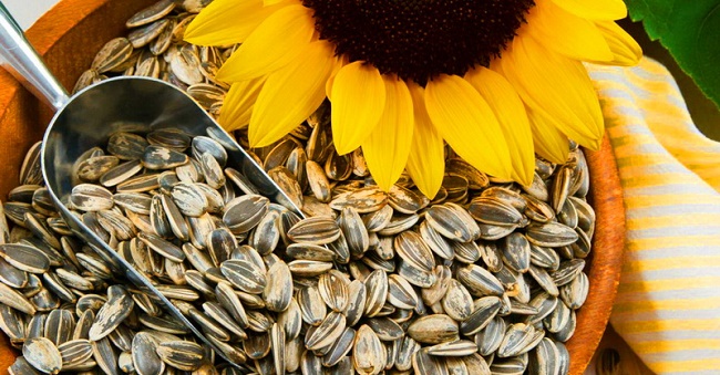  Semillas de girasol