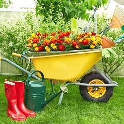  5 tipos de equipos que debe ser un jardinero.
