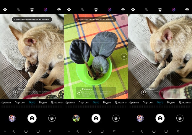  Cámara inteligente de honor 10