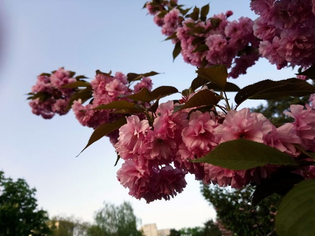  صورة عينة