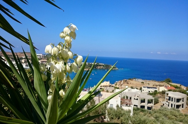  صورة 1