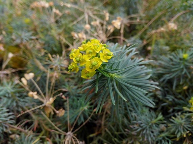  Schnappschuss von der Hauptkamera