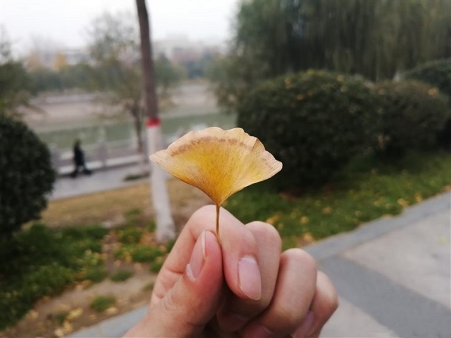  Örnek fotoğraf