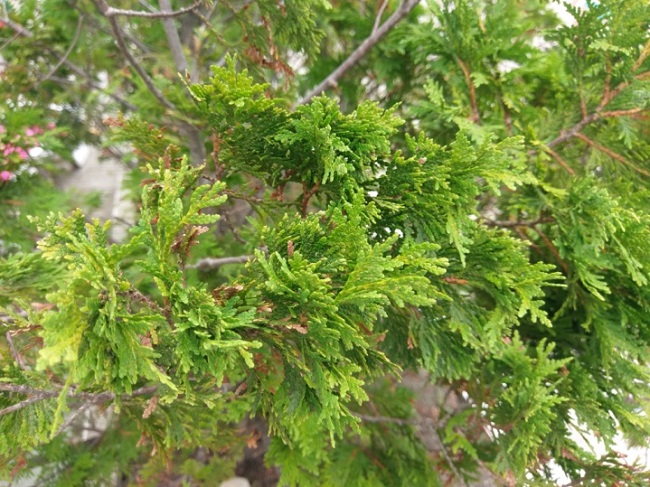  Beispielfoto2