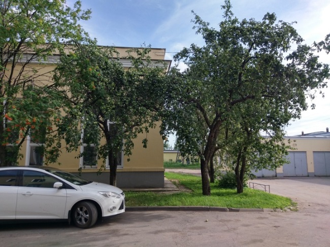  Beispielfoto3